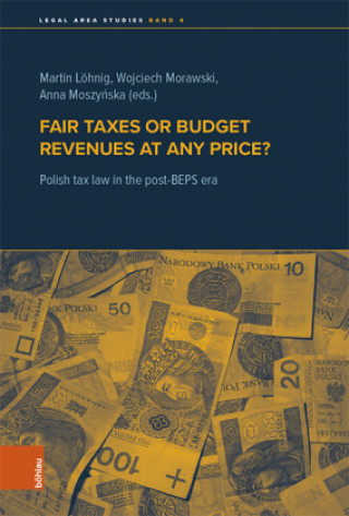 Kniha Fair taxes or budget revenues at any price? Martin Löhnig