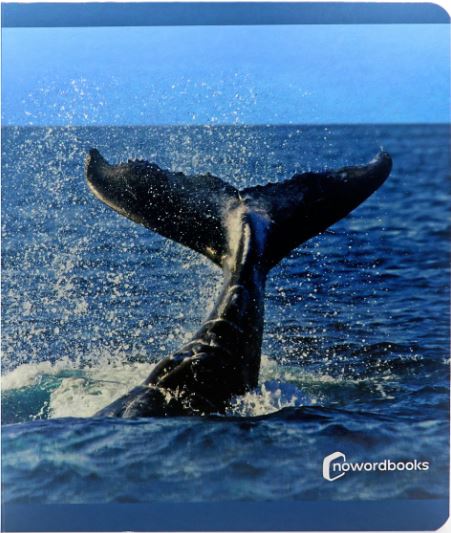 Buch Animales del mar 