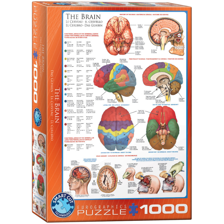 Kniha Puzzle 1000 The Brain 6000-0256 