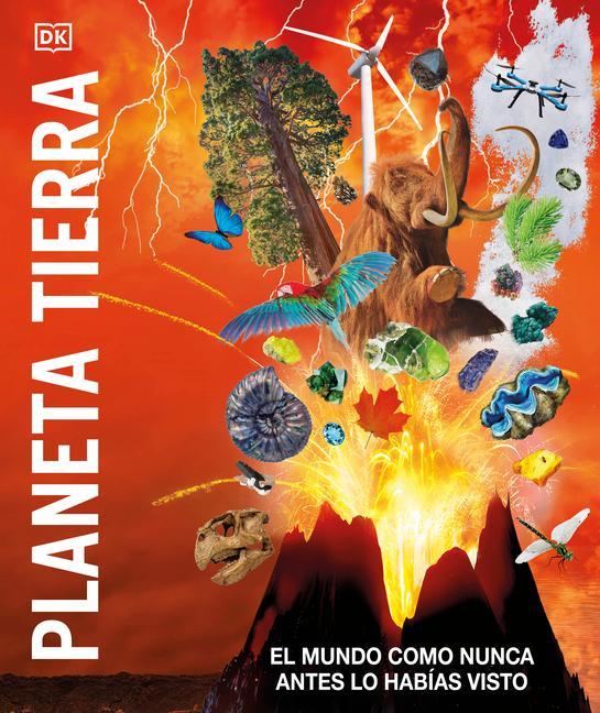 Boek Planeta Tierra: El Mundo Como Nunca Antes Lo Habias Visto DK