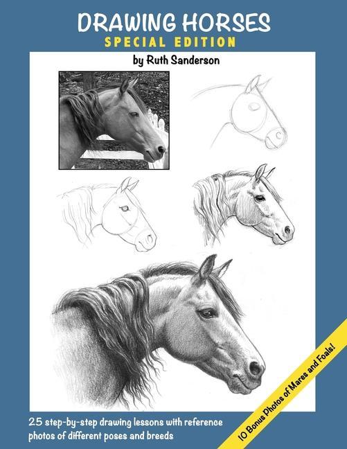 Book Drawing Horses 