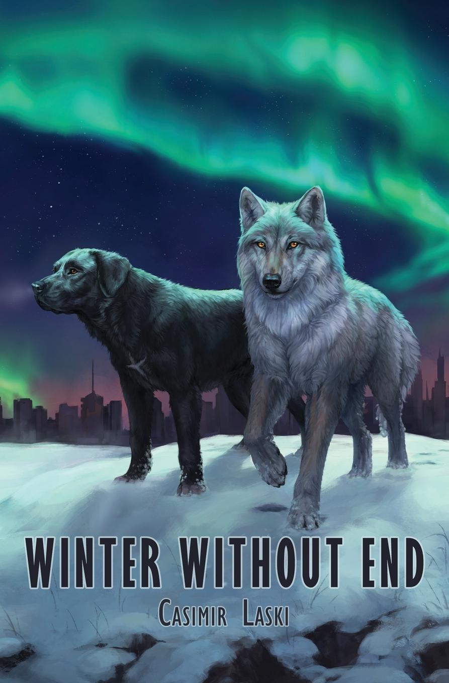 Libro Winter Without End 