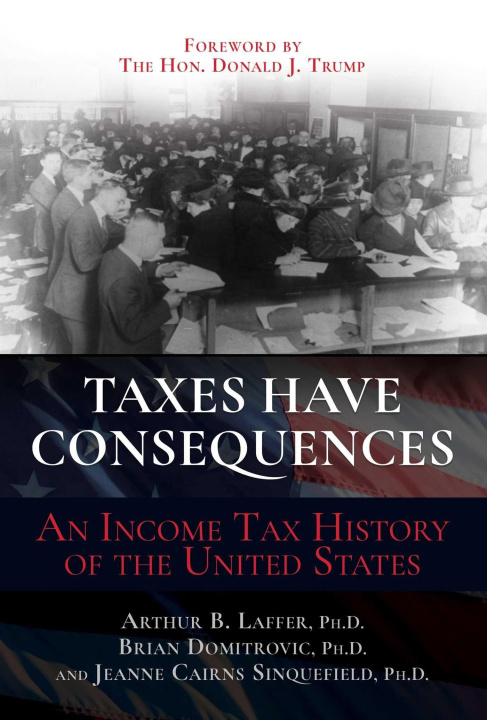 Kniha Taxes Have Consequences: An Income Tax History of the United States Brian Domitrovic