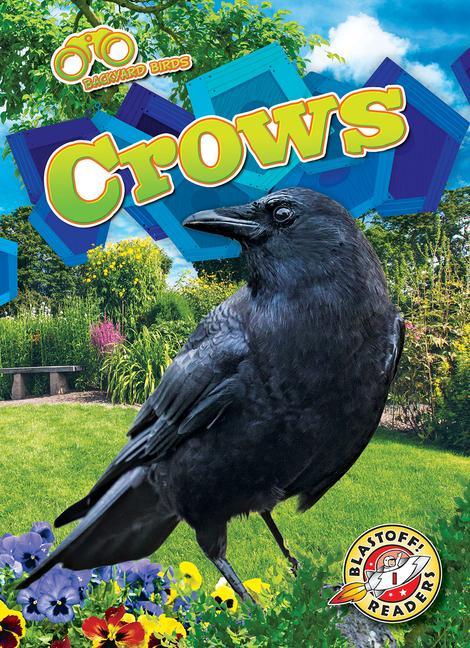 Knjiga Crows 