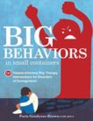 Könyv Big Behaviors in Small Containers: 131 Trauma-Informed Play Therapy Interventions for Disorders of Dysregulation 