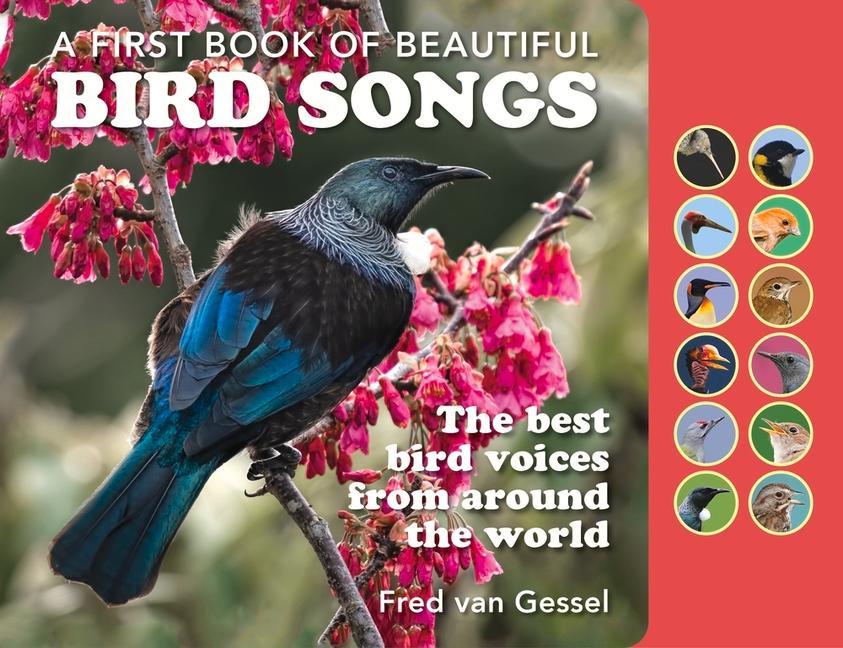 Kniha A Book of Beautiful Bird Songs: The Best Bird Voices from Around the World 