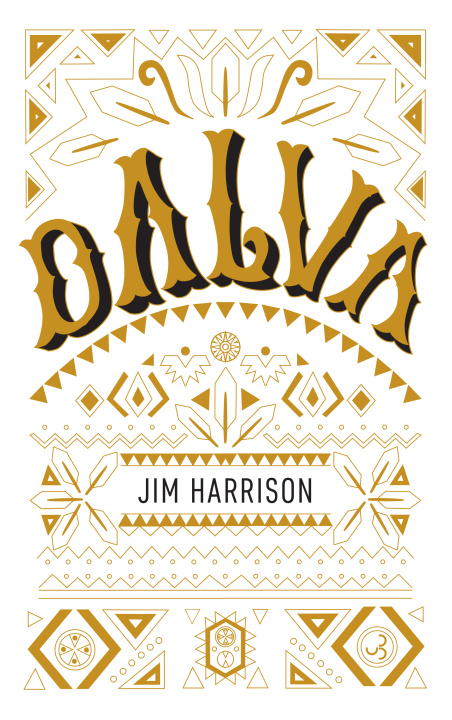 Buch Dalva Harrison