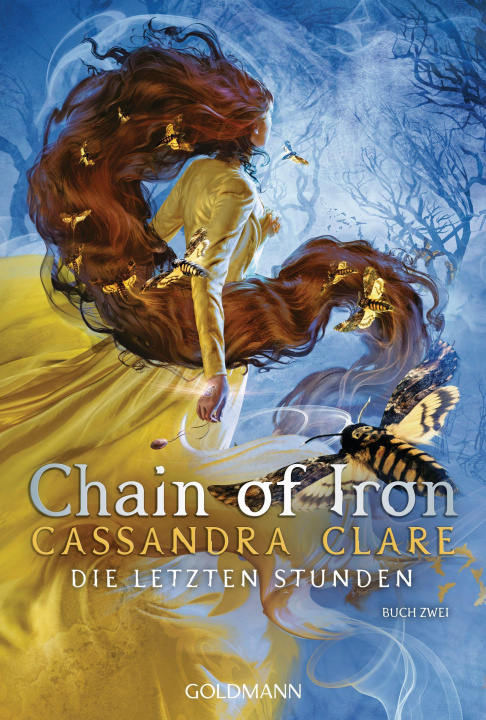 Kniha Chain of Iron Franca Fritz