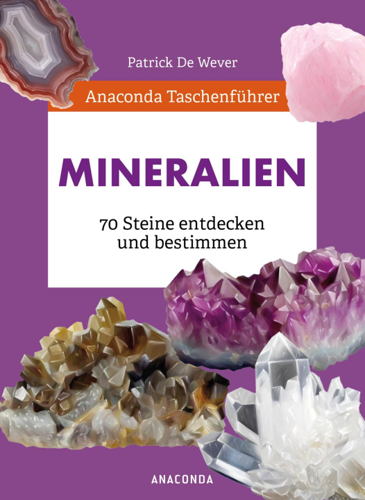 Carte Anaconda Taschenführer Gesteine und Minerale. 70 Steine entdecken und bestimmen Lise Herzog