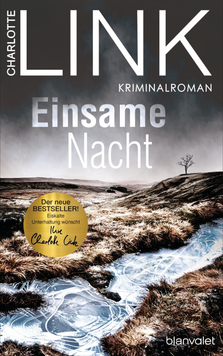 Kniha Einsame Nacht 