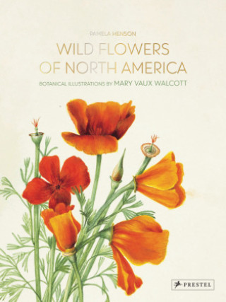 Kniha Wild Flowers of North America 