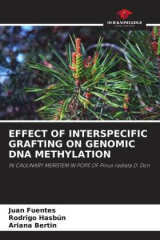 Książka EFFECT OF INTERSPECIFIC GRAFTING ON GENOMIC DNA METHYLATION Rodrigo Hasbún