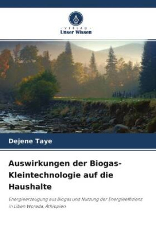 Kniha Auswirkungen der Biogas-Kleintechnologie auf die Haushalte 