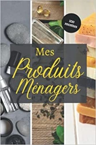 Könyv Mes produits ménagers - 100 recettes 