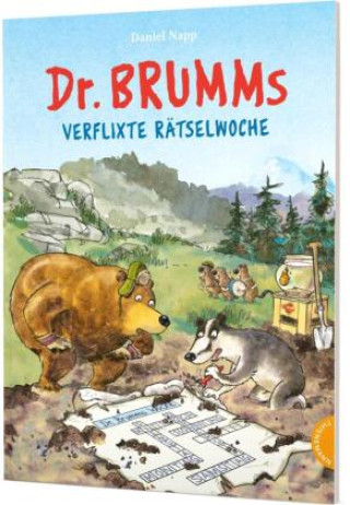 Könyv Dr. Brumm: Dr. Brumms verflixte Rätselwoche Silke Reimers