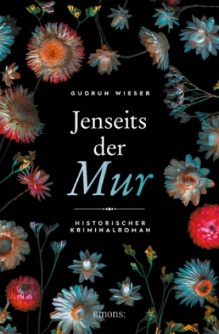 Buch Jenseits der Mur Gudrun Wieser