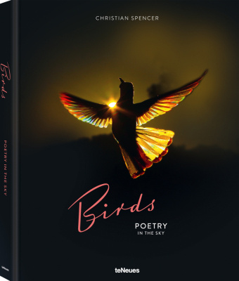Könyv Birds 