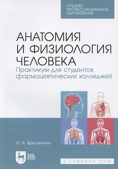 Knjiga Анатомия и физиология человека. Практикум для студентов фармацевтических колледжей. Учебное пособие для СПО, 2-е изд., стер О.А. Брусникина