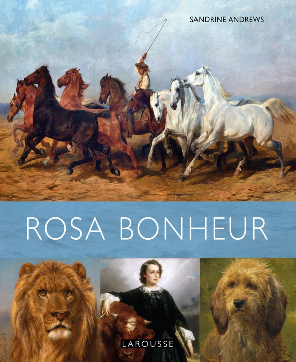 Książka Rosa Bonheur Sandrine ANDREWS