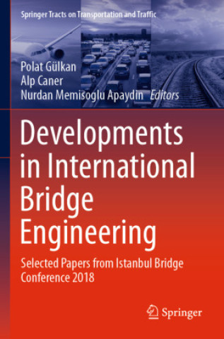 Knjiga Developments in International Bridge Engineering Polat Gülkan