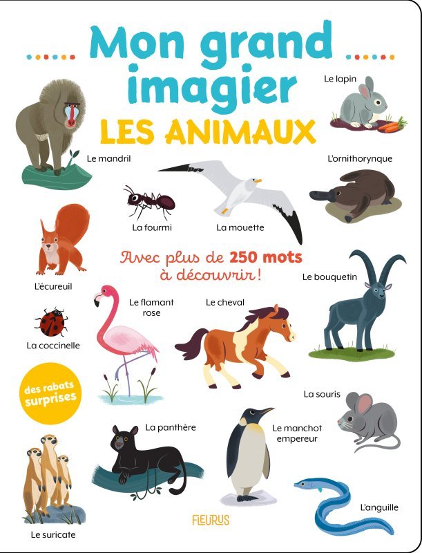 Kniha Mon grand imagier . Les animaux 