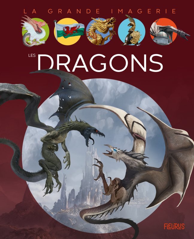 Kniha Les dragons Sabine Boccador