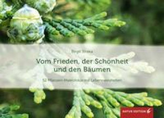 Kalendář/Diář Vom Frieden, der Schönheit und den Bäumen (Tischaufsteller) 