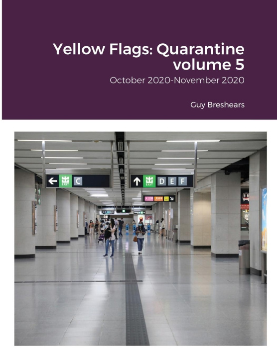 Book Yellow Flags Guy Breshears
