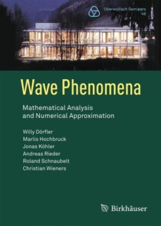 Book Wave Phenomena Willy Dörfler