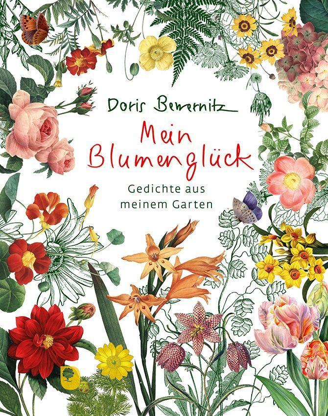 Knjiga Mein Blumenglück Doris Bewernitz