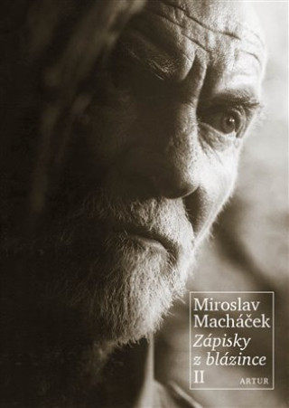 Книга Zápisky z blázince II Miroslav Macháček