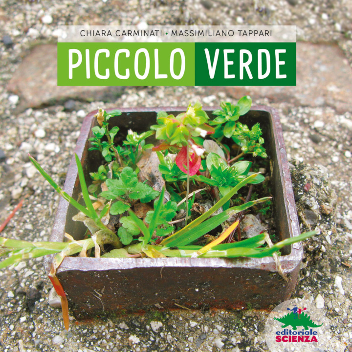 Buch Piccolo verde Chiara Carminati