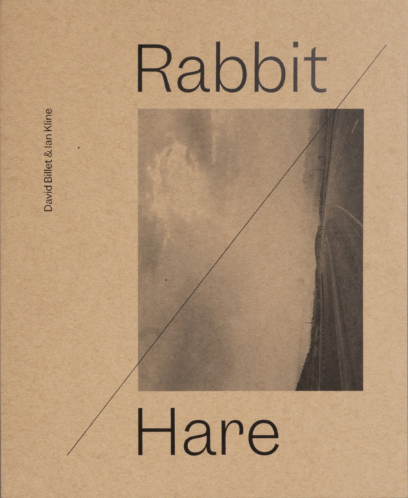 Book Rabbit / Hare David Billet