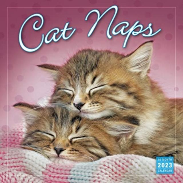 Book CAT NAPS SELLERS PUBLISHING