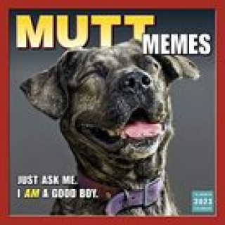 Knjiga MUTT MEMES SELLERS PUBLISHING