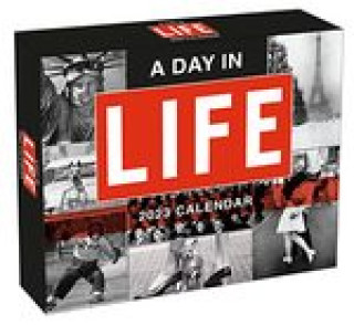 Knjiga DAY IN LIFE A TI GOTHAM INC
