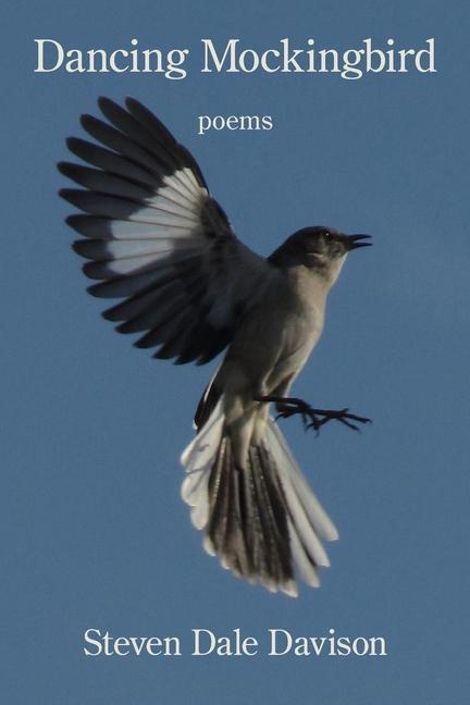 Knjiga Dancing Mockingbird Steven Dale Davison