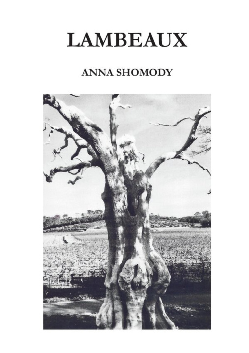 Knjiga Lambeaux Anna Shomody