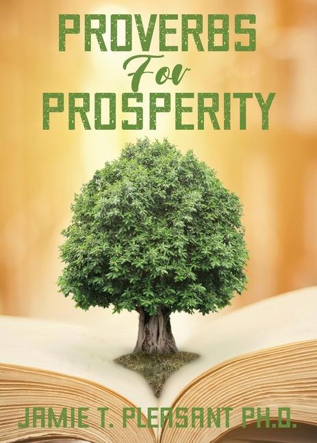 Knjiga Proverbs For Prosperity Jamie T. Pleasant