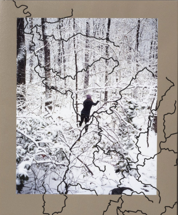 Book LAUREL MOUNTAIN LAURE JAKE REINHART