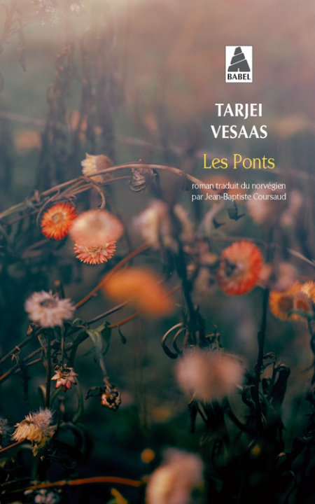 Boek Les Ponts Vesaas