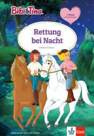 Kniha Bibi & Tina: Rettung bei Nacht 