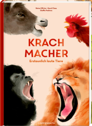 Kniha Krachmacher Karel Claes