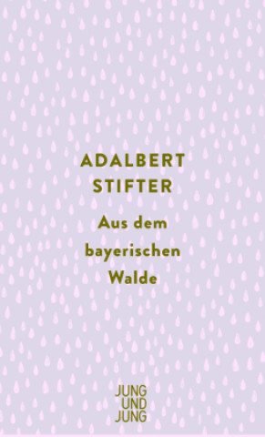Kniha Aus dem bayerischen Walde Adalbert Stifter