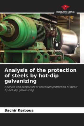 Kniha Analysis of the protection of steels by hot-dip galvanizing 