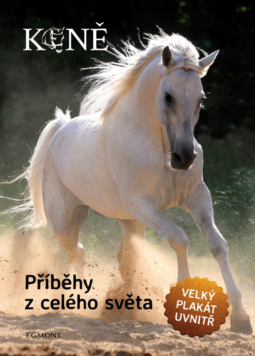 Book Koně Příběhy z celého světa 