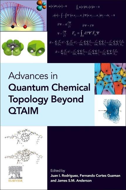 Kniha Advances in Quantum Chemical Topology Beyond QTAIM James Anderson