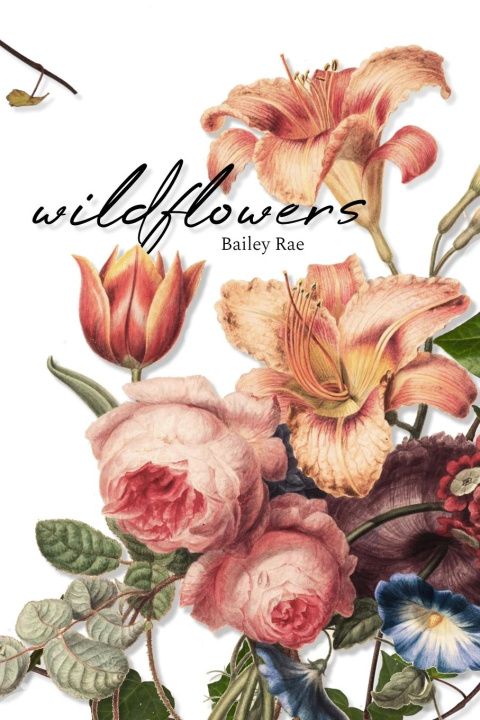 Knjiga wildflowers Bailey Rae