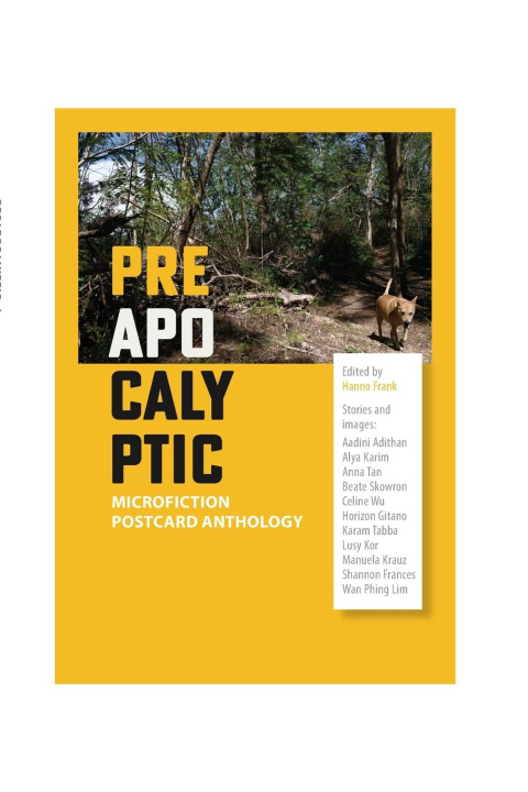 Book Preapocalyptic Hanno Frank