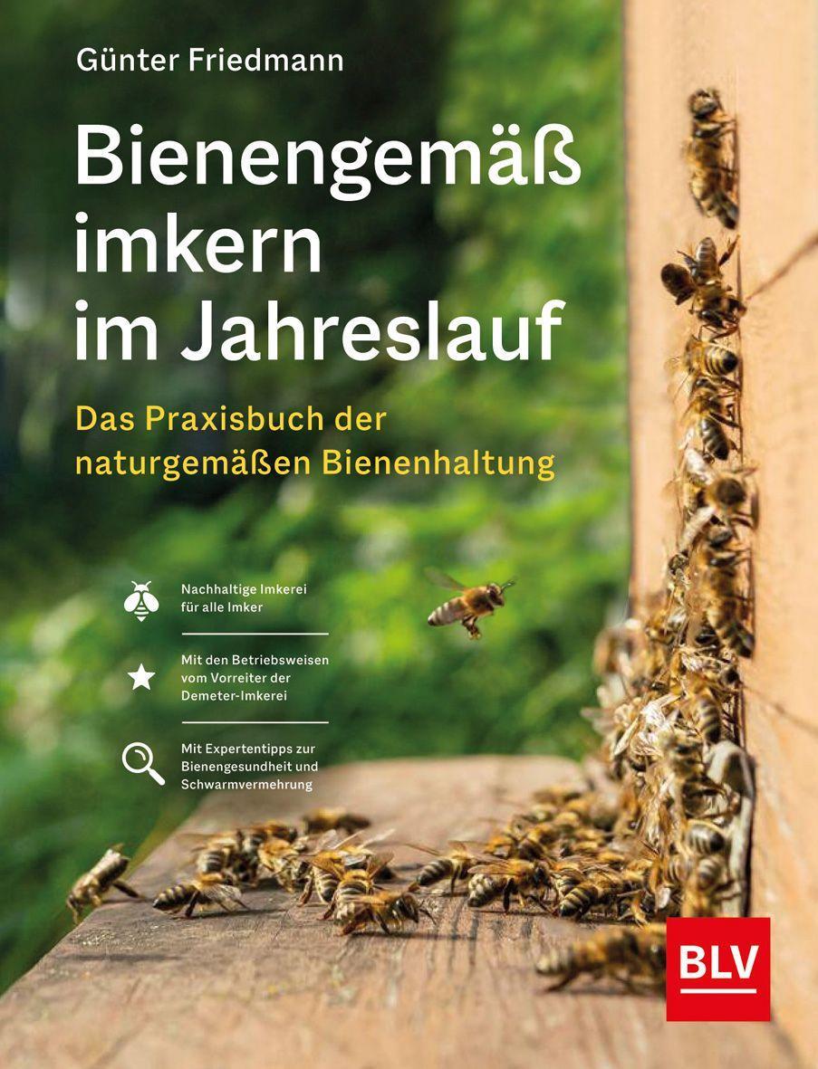 Kniha Bienengemäß imkern im Jahreslauf 